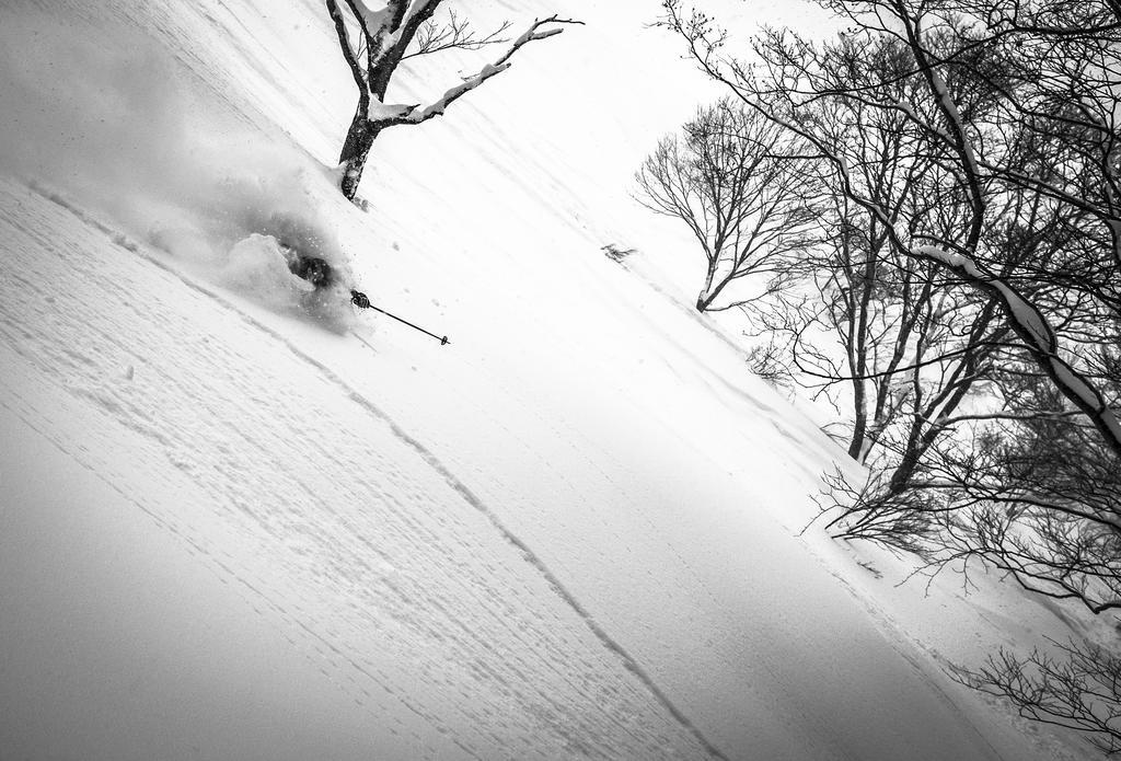 Morino Lodge - Hakuba Kültér fotó